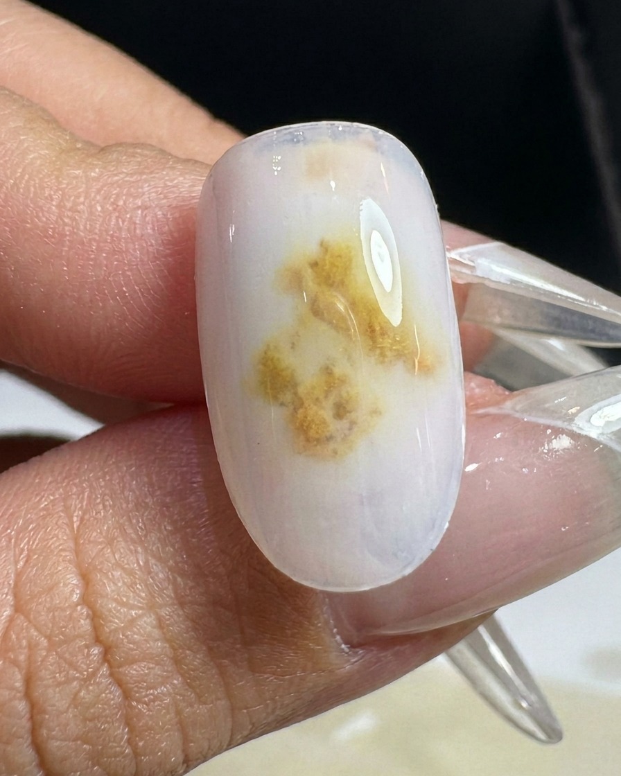 A single manicured nail with a soft gradient placed inside a professional LED nail lamp for curing.
