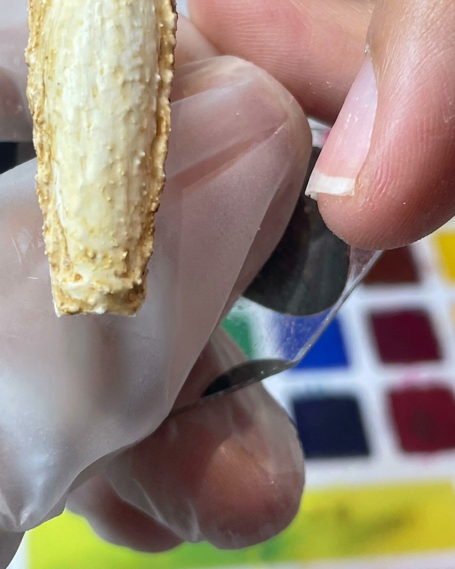 A close-up of a brush applying dark brown pigment to the textured edges of the nail.