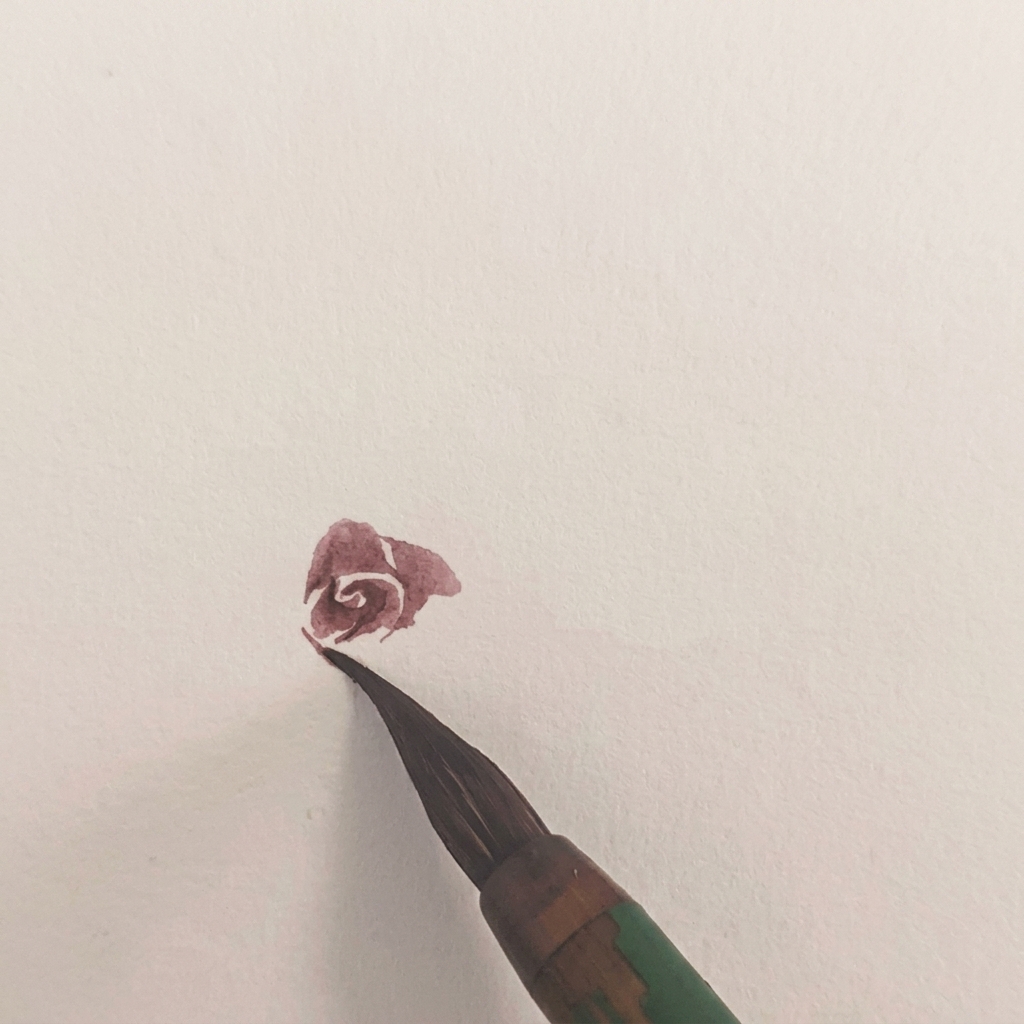 The watercolor rose now has an additional petal layer extending to the left side.