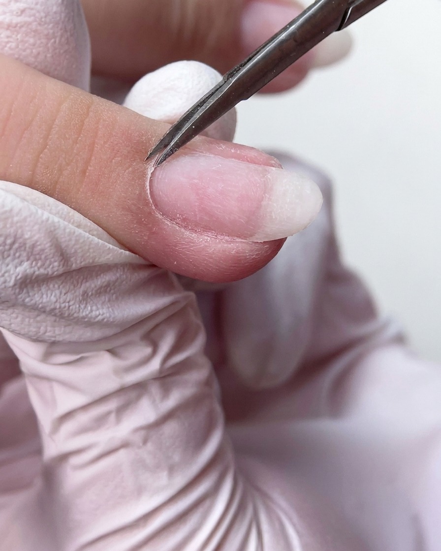 Fine manicure scissors neatly trimming excess dead cuticle tissue from the base of the fingernail.